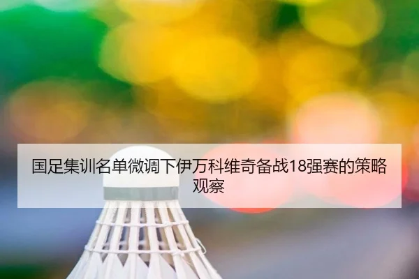 国足集训名单微调下伊万科维奇备战18强赛的策略观察